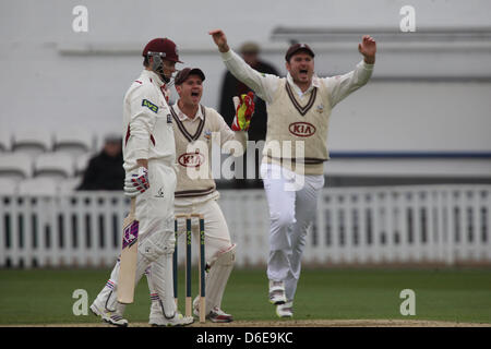 Londres, Royaume-Uni. 17 avril, 2013. Steven Davies de Surrey CCC et Greame Smith de Surrey appel de l'IPN sur Marcus Trescothick de Somerset CCC au cours de la LV County Championship Division 1 match entre Surrey et Somerset de l'Ovale. Banque D'Images