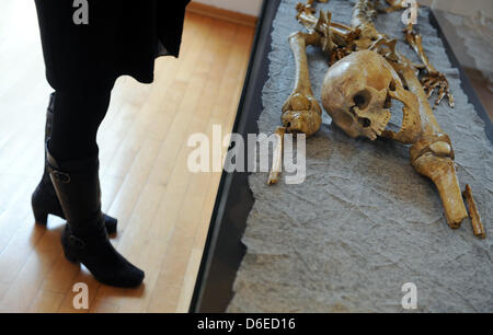 Une femme se tient debout devant un squelette au Musée pour la culture sépulcral à Kassel, Allemagne, 25 janvier 2012. C'est le squelette d'une personne qui a été décapité probablement entre 1256 et 1388 dans la région de Hesse. L'exposition 'Potence, Roue et jeu" est ouvert du 28 janvier 2012. Photo : Uwe Zucchi Banque D'Images