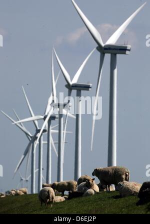 Fichier - une archive photo datée du 23 mai 2008 montre un troupeau de moutons grasing en face des éoliennes à Soenke Nissan Koog, Allemagne. Schleswig-Holstein Ministre de l'économie Jost de Jager (CDU) a appelé les habitants de Schleswig-Holstein à travailler activement sur l'avancement de la transition énergétique. Photo : Carsten Rehder Banque D'Images