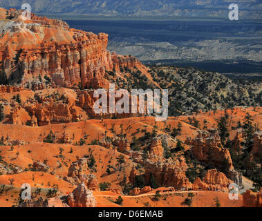 Le Parc National de Bryce Canyon est vu dans Utha, USA, 31 décembre 2011. La caractéristique principale du parc est Bryce Canyon qui, malgré son nom, n'est pas un canyon, mais un gigantesque amphithéâtre naturel créé par l'érosion le long de la côte orientale de l'Paunsaugunt Plateau. Le rouge, orange et blanc des rochers offrent une vue spectaculaire pour les visiteurs du parc. Photo : Wolfgang Thieme Banque D'Images
