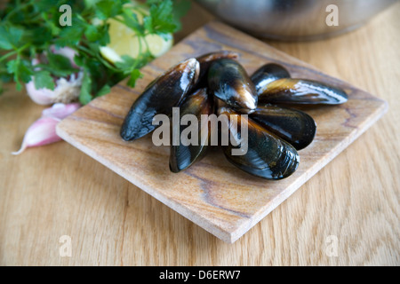 Les moules vivantes avec citron, ail et persil Banque D'Images