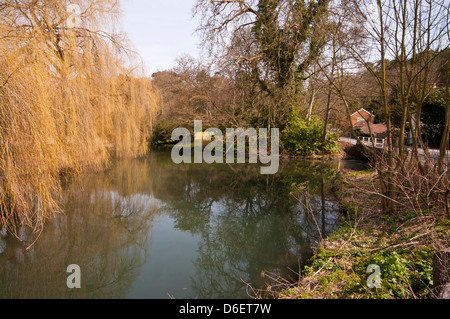 La rivière Wey circulant dans la campagne du Surrey juste en dehors de Farnham Surrey UK Banque D'Images