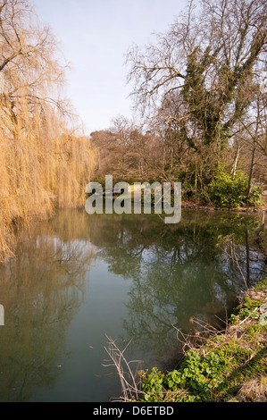 La rivière Wey circulant dans la campagne du Surrey juste en dehors de Farnham Surrey UK Banque D'Images