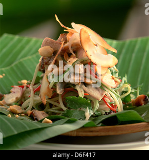 Salade de poulet grillé avec le concombre et la noix de coco Banque D'Images