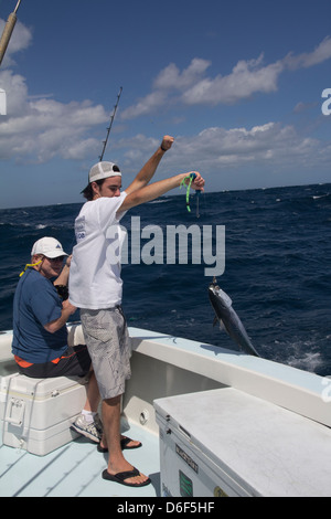 Crewman Nick DiFrancisco apporte dans un dauphin poisson pendant un voyage de pêche en mer à bord du navire affrété Lo Que Sea, Floride Banque D'Images