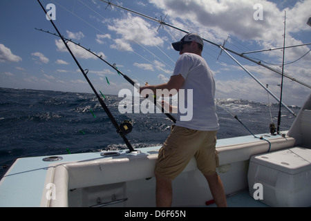 La pêche de la coryphène (mahi-mahi) Ft. Pierce, Floride Banque D'Images