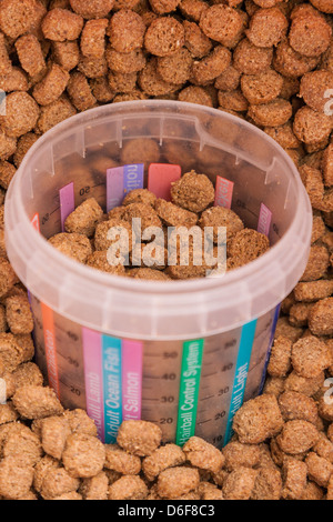 Grain brun sec animaux domestiques Aliments avec verre mesurée Banque D'Images