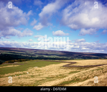 Mur de pierres sèches en bordure de voie de silex sur les pentes de l'Ouest au-dessus de la balise Penhill Witton Wensleydale Yorkshire Dales England Banque D'Images