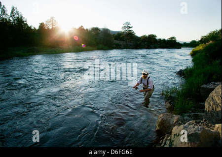 Homme barbu fly fishing au lever du soleil dans la rivière Arkansas, Colorado, USA Banque D'Images