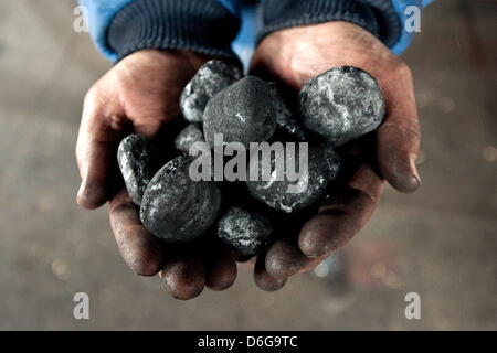 Fournisseur de charbon et de chauffage moyenne, Sascha Diesner, tient en forme d'oeuf briquettes dans ses mains à Berlin, Allemagne, 09 février 2012. Il faut en général une semaine pour livrer le charbon et d'autres matériaux. En cas d'urgence, la société Hans Engelke Energie fournit à l'intérieur d'une journée. Photo : Robert Schlesinger Banque D'Images