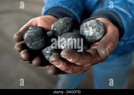 Fournisseur de charbon et de chauffage moyenne, Sascha Diesner, tient en forme d'oeuf briquettes dans ses mains à Berlin, Allemagne, 09 février 2012. Il faut en général une semaine pour livrer le charbon et d'autres matériaux. En cas d'urgence, la société Hans Engelke Energie fournit à l'intérieur d'une journée. Photo : Robert Schlesinger Banque D'Images