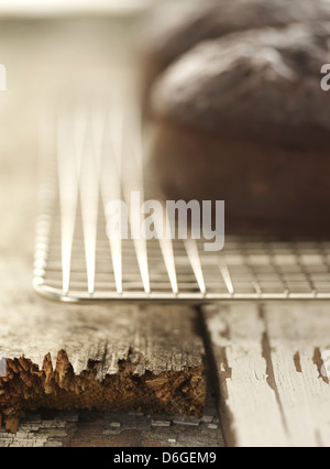 Gâteau aux fruits au chocolat Banque D'Images