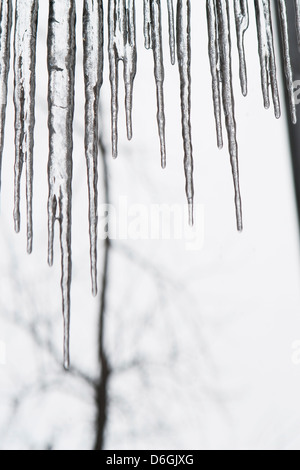 Close up of icicles Banque D'Images