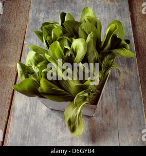 Pak choi dans un panier en bois Banque D'Images