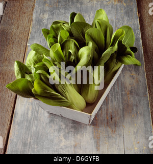 Pak choi dans un panier en bois Banque D'Images