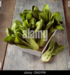 Pak choi dans un panier en bois Banque D'Images