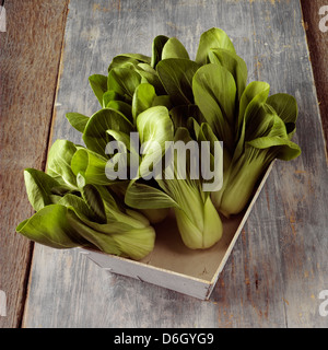 Pak choi dans un panier en bois Banque D'Images