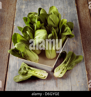 Pak choi dans un panier en bois Banque D'Images