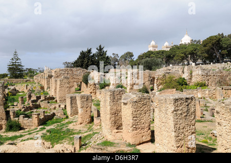 Ruines puniques colline de Byrsa Carthage Tunisie Banque D'Images