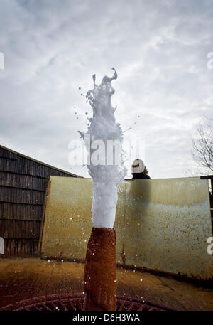 Une fontaine d'eau tire à partir d'un tuyau rouillé au bord de la fontaine de Roemerbrunnen à Bad Vilbel, Allemagne, 29 février 2012. En raison de la forte concebtration l'acide carbonique de l'eau tire de la conduite irrégulière par ses propres moyens à une profondeur de 287 mètres. Le ressort produit une eau avec un contenu minéral de 5000 miligrams, ce qui en fait l'une des eaux les plus concen Banque D'Images