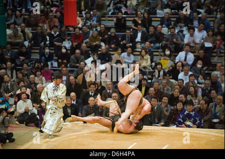 Concours de Sumo de Fukuoka, Kyushu Basho, Fukuoka, Kyushu, Japon, Asie Banque D'Images