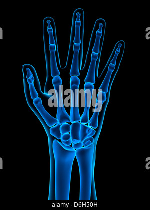 Côté os, artwork Banque D'Images