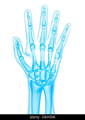 Côté os, artwork Banque D'Images