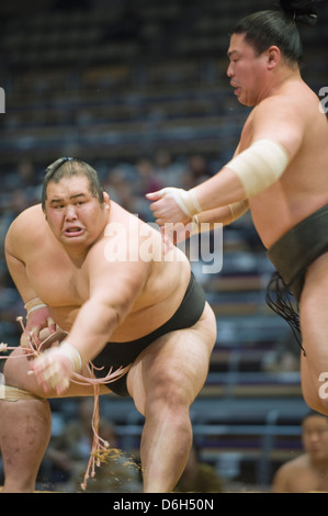 Concours de Sumo de Fukuoka, Kyushu Basho, Fukuoka, Kyushu, Japon, Asie Banque D'Images