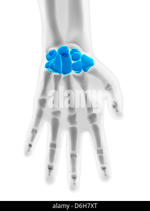 Côté os, artwork Banque D'Images