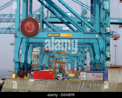 Vue rapprochée des grues à conteneurs du port d'Anvers, l'un des ports les plus fréquentés d'Europe. Ces grues sont cruciales pour le chargement et le déchargement de grands conteneurs de fret, assurant le bon fonctionnement dans le transport maritime et logistique mondial. Banque D'Images