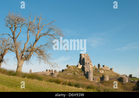 Château de Corfe, Corfe, Dorset, England, UK. Novembre. Vu de champs de l'ouest. Banque D'Images