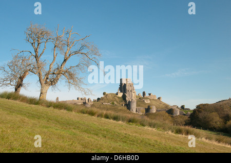 Château de Corfe, corfe, Dorset, England, UK. Novembre. Vu de champs de l'ouest. Banque D'Images