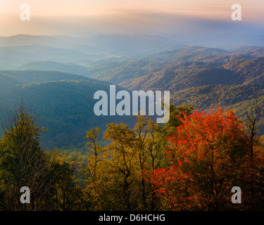 Automne feuillage éclate dans des tons de rouge et jaune le long de la Blue Ridge Autoroute en Caroline du Nord occidentale en automne. Banque D'Images