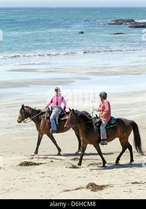 Deux cavaliers sur la plage Banque D'Images