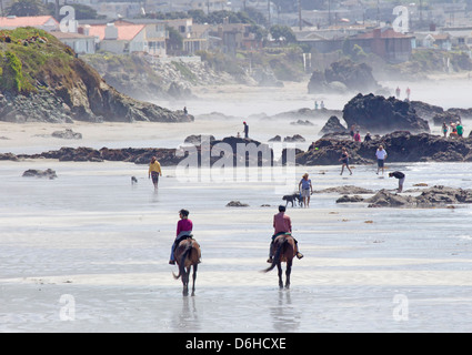 Deux cavaliers sur la plage Banque D'Images