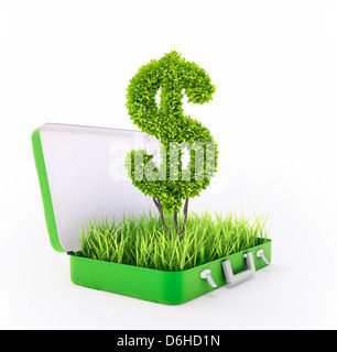 L'investissement vert, conceptual artwork Banque D'Images