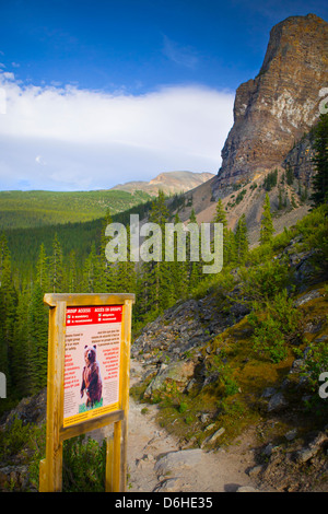 Soupir de l'ours sur sentier de randonnée pédestre du parc national Banff, Canada Banque D'Images