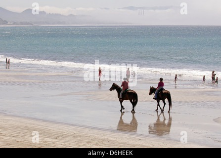 Deux cavaliers sur la plage Banque D'Images