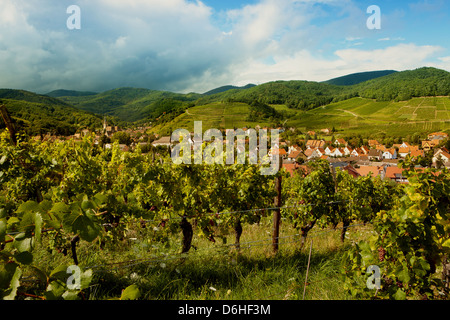 L'été à Andlau village viticole en Alsace France Banque D'Images