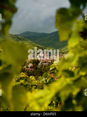 Vue sur village viticole d'Andlau en Alsace France à travers vignes floue Banque D'Images