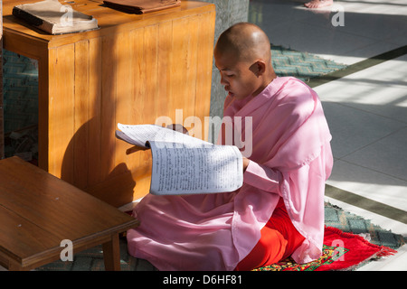 Une jeune moniale étudier, Sakyadhita Thilashin Antiq'école, Rhône-Alpes, près de Mandalay, Myanmar (Birmanie), Banque D'Images