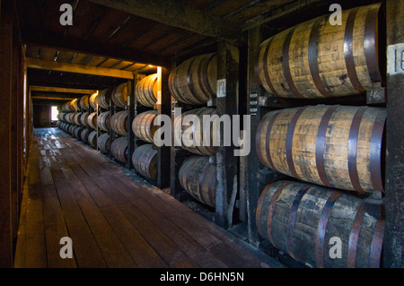 Whisky Bourbon dans le vieillissement en fûts de chêne blanc dans une chambre à ciel Rick Hill Distillery de Bardstown, Kentucky Banque D'Images