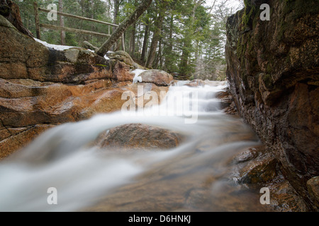 Franconia Notch State Park - Le bébé dans un canal de Lincoln, New Hampshire, USA Banque D'Images