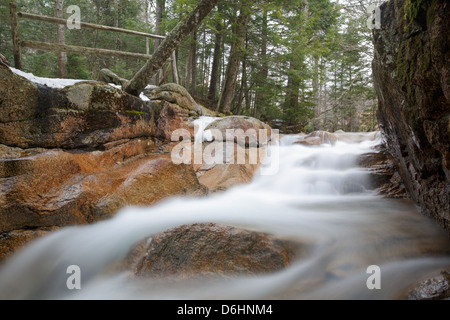 Franconia Notch State Park - Le bébé dans un canal de Lincoln, New Hampshire, USA Banque D'Images