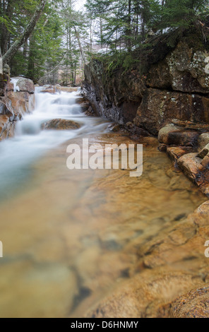 Franconia Notch State Park - Le bébé dans un canal de Lincoln, New Hampshire, USA Banque D'Images