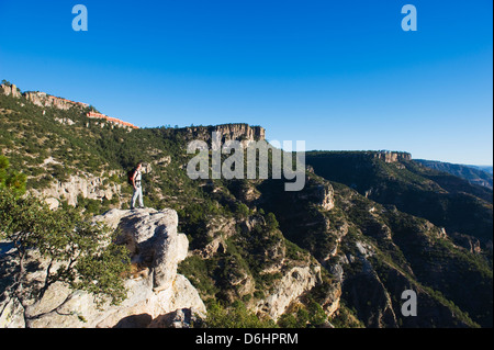 Barranca del Cobre, Copper Canyon, dans l'état de Chihuahua, au Mexique, en Amérique du Nord (M.) Banque D'Images