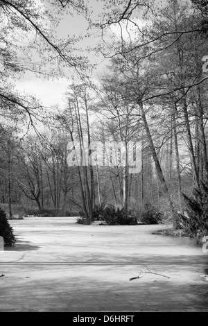 Le célèbre parc Tiergarten salon Banque D'Images