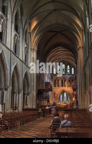 Dublin, Irlande. Cathédrale de la Sainte Vierge Marie et de St Patrick (alias la Cathédrale St Patrick). Banque D'Images