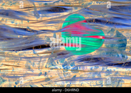 Coeur de pierre rouge au milieu de cailloux dans un ruisseau Banque D'Images