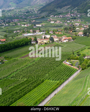 Village de lagundo (Algund) dans la vallée de la rivière Etsch entouré par des vignobles et des plantations. Le Tyrol du Sud, Italie. Banque D'Images